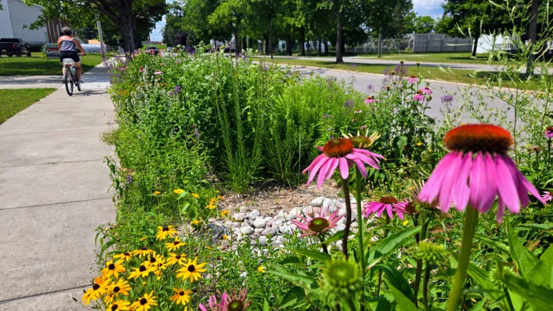 Two new rain gardens coming to downtown Alpena this fall